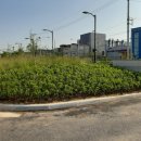 영림화학 이미지