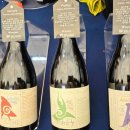 재이앤파크호텔(동대문) | 워커힐 와인페어🍷 Spring Breeze 2025 솔직 후기 (JW 메리어트 와인 축제와 비교)