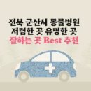 쿨펫동물병원(이마트군산점) 이미지