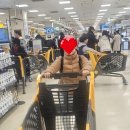 법무사유전이사무소