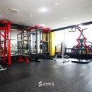 짐에스(GYM-S)