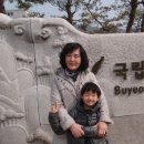 여향 이미지