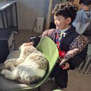 장수엄마 농장 | 김해 열대우림 카페,첫째 방학 맞이 체험농장 방문기