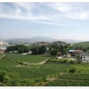 용평 버치힐골프클럽 이미지