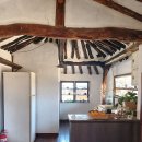 리틀포레스토 이미지