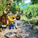 가자경주투어 | 나트랑 양베이투어 내돈내산 후기 (대가족 솔직 장단점)