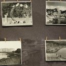 도원공원 내 이미지