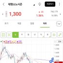 대명소노시즌 이미지