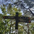 천변길. 둘레길. 산길 걷기(52.3km) 이미지