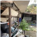 다처리 | 쓰레기집 마음의 짐을 덜어주는 다처리 서비스 후기