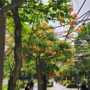 황명「분수·1」 이미지