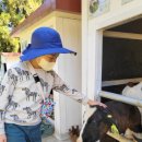 미소목장 이미지