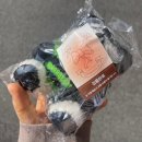 귀여운 본디자인랩 미니 판다 키링