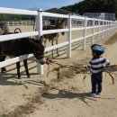 동키캐슬 캠핑장 이미지