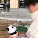 팬더당구장 이미지