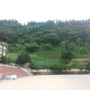 저동초등병설유치원 이미지