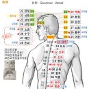 기경팔맥의 해설 , 임맥과 독맥의 혈자리 해설 및 위치도 이미지