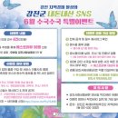 강진-6 이미지