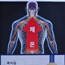 김오곤고주파체온기-심부열/면역력 이미지