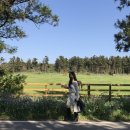 창해목장 이미지