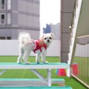 사랑으로유치원 이미지