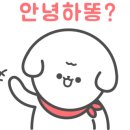 사개절펫살롱