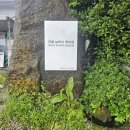 [창원 진해] 진해보타닉뮤지엄, 날씨 상관없이 힐링 산책으로 딱!