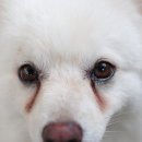 하나로365약국 이미지