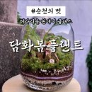 칸플랜트(주) - 3609 | 순천 공방 데이트 테라리움 원데이 클래스 '담화봄플랜트' (feat. 시설, 가격, 체험 후기 등)