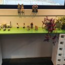 공새미국수