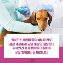 이건동물병원 이미지