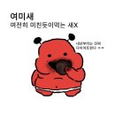 시호쿠키