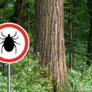 S동물의료센터 이미지