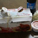 미스터꼬끼오 이미지