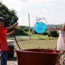 원창농장 이미지