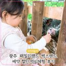 광주 패밀리랜드 벅스랜드 예약 할인 먹이 체험 후기