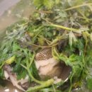 할매손식당 이미지