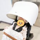 미뇽.