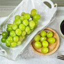 초아농원 | 초아농원 고당도 영천샤인머스켓 2kg 후기