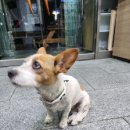 서강염소탕한우갈비살 이미지