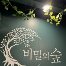 홍대/합정 비밀의 숲 방탈출 - 드림레일, 베스트셀러 연방 후기