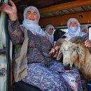 ROJIN(로진) 이미지