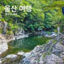 이마트24 울산기숙사점 | 울산 철구소 계곡 수심, 취사, 주차정보 정리