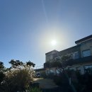 삼일삼오 | 제주 동쪽 조식포함 10만원대 감성숙소 삼일삼오 203호 후기