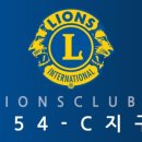 모아한방병원 네이버블로그