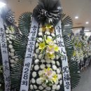 송생초등학교 이미지