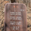 새롭게 길을 연 옥천 호수길을 찾아서 이미지