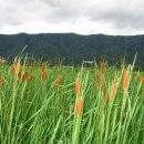 진군농장 이미지