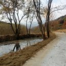 소룡농장 이미지