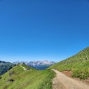 그곳에 비엘로 이미지